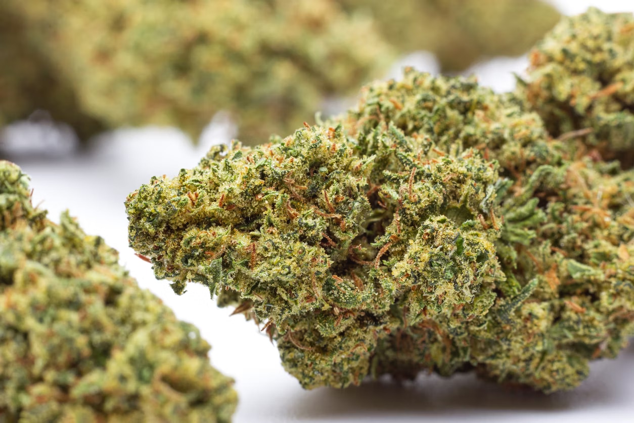 Megadose : La référence des fleurs et résines CBD premium avec livraison rapide et sécurisée en France
