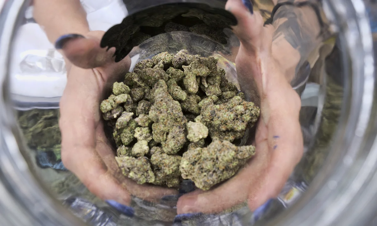 Buy Marijuana Online UK – Bad Buds UK Offers Top-Shelf Cannabis, Oils &amp; Edibles