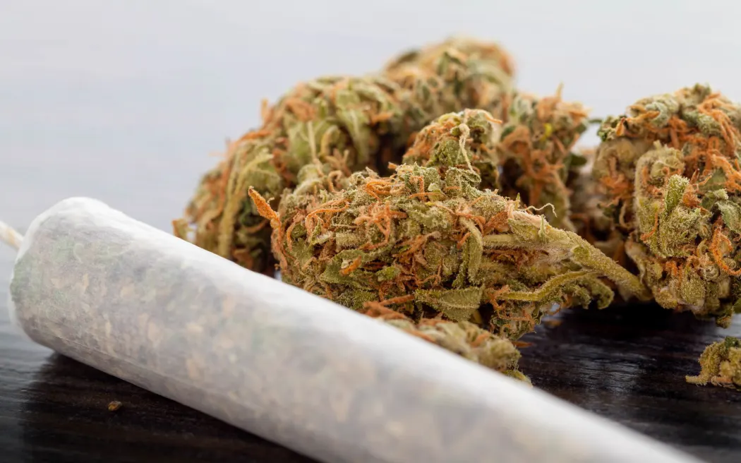 24/7 U.S. Cannabis Delivery: The Easiest Way to Buy Weed Strains Online