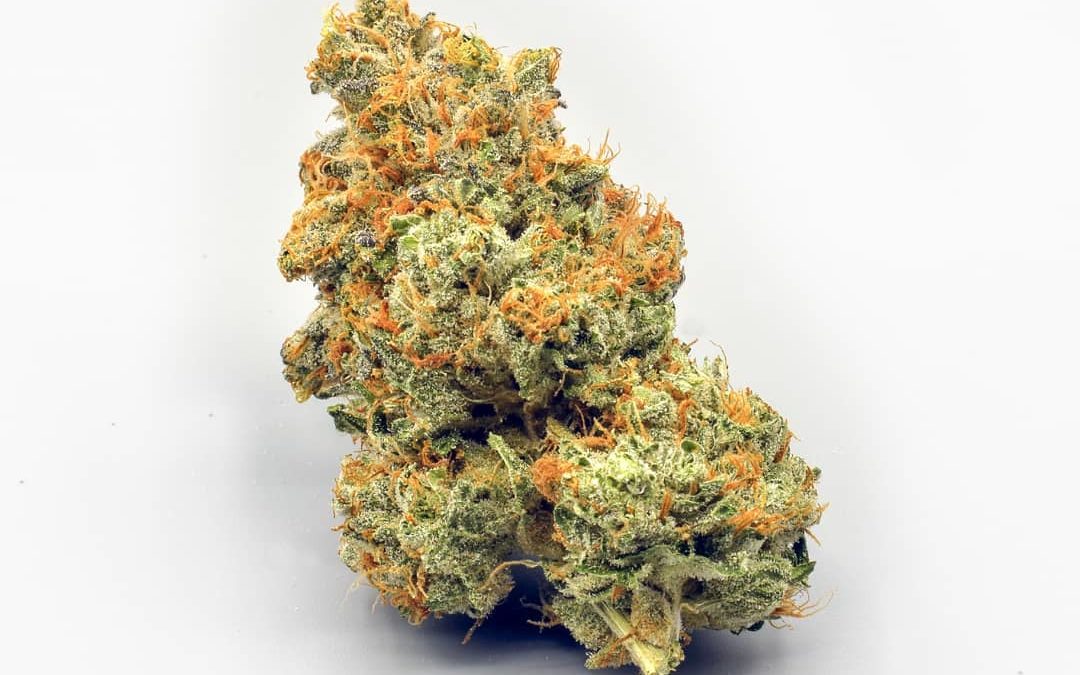 Euro Weed Clinic Sets the Standard for Quality – Safely Buy Marijuana Online Europe