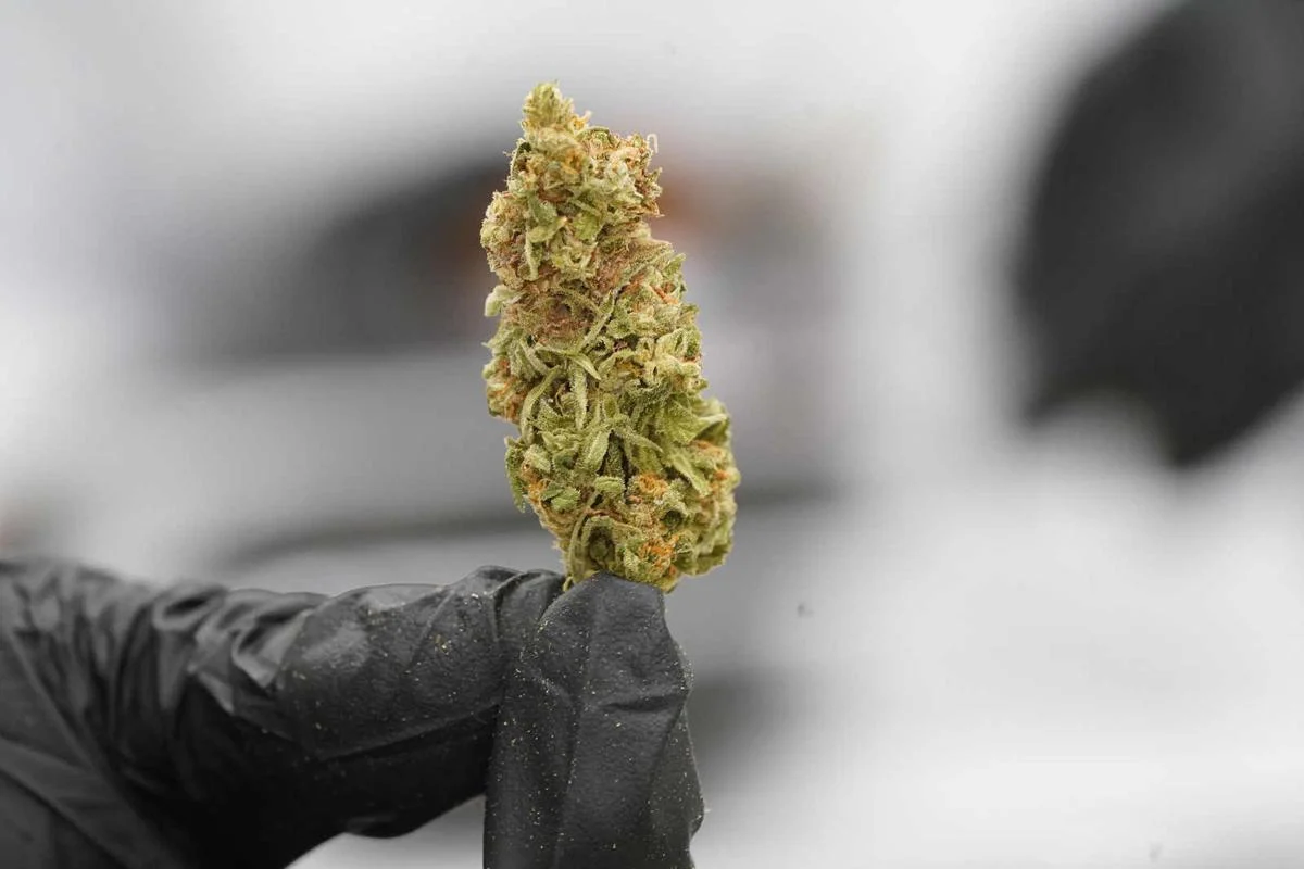 24/7 U.S. Cannabis Delivery: The Easiest Way to Buy Weed Strains Online