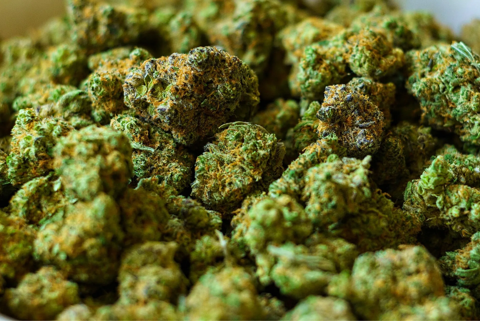Euro Weed Clinic Sets the Standard for Quality – Safely Buy Marijuana Online Europe