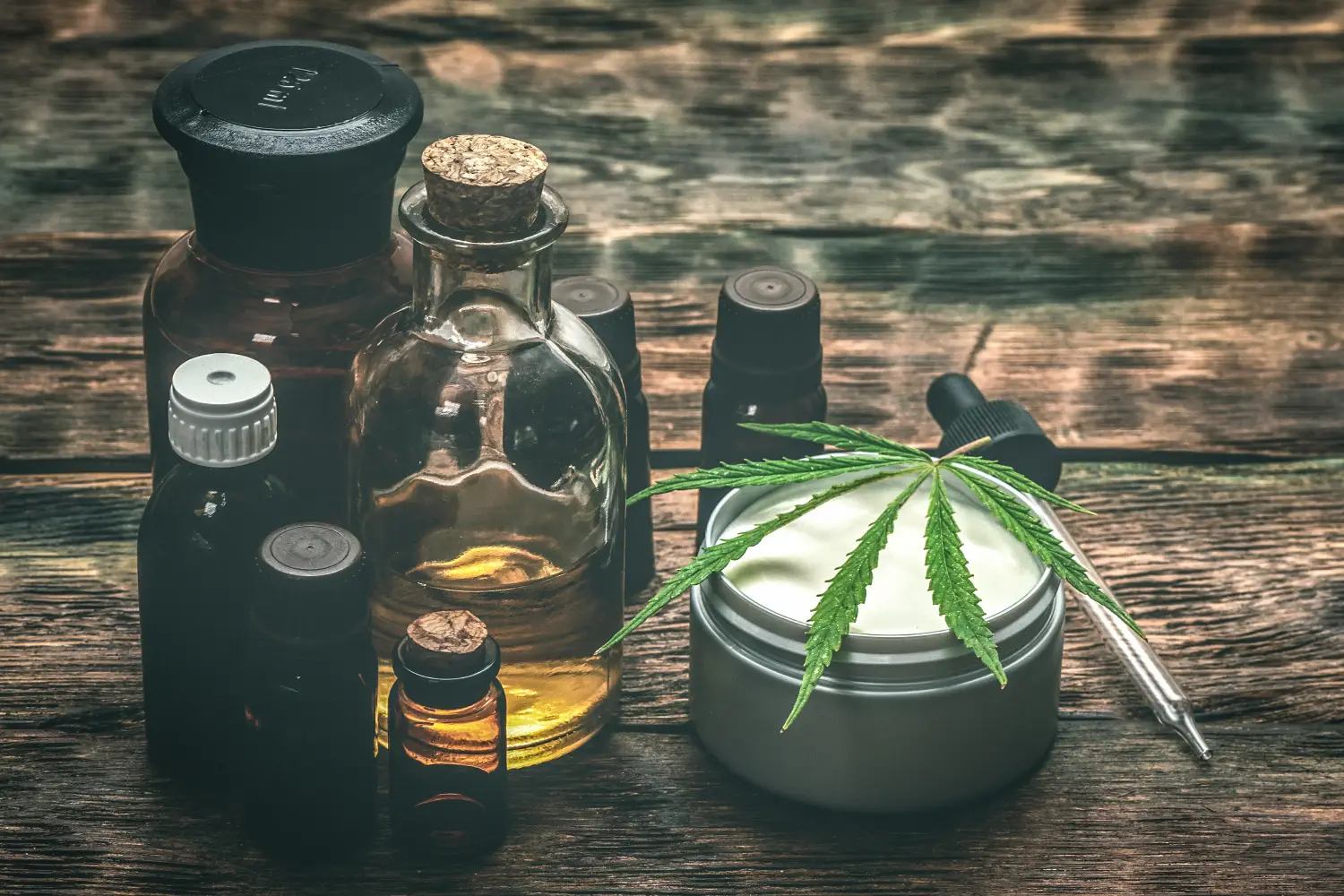Halifax Bud Express Delivers Curated Cannabis Strains for Quality, Flavour, and Effect